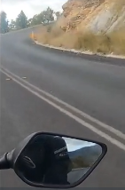 Kangaroo bị người đi xe máy hất văng